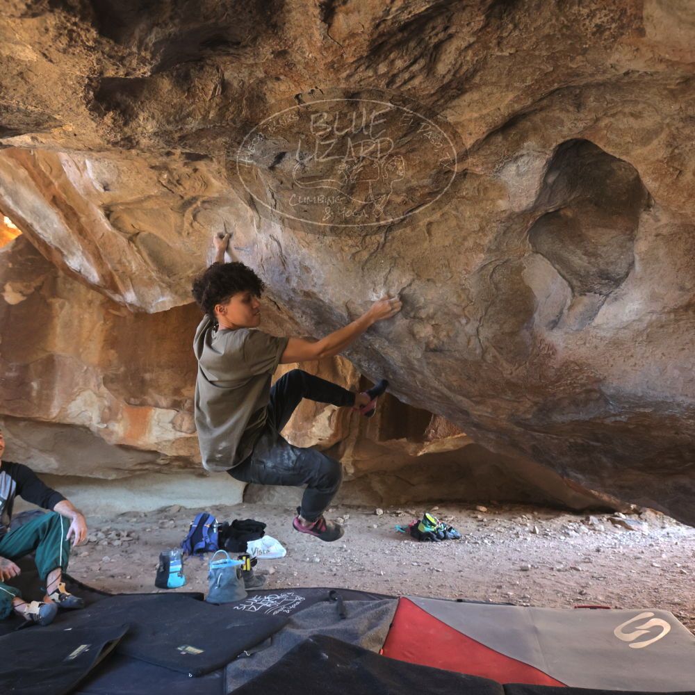 

Filename: SRM_20260307_1534110.jpg
Aperture: f/5.6
Shutter Speed: 1/400
Body: Canon EOS R6
Lens: Canon EF 16-35mm f/2.8 L