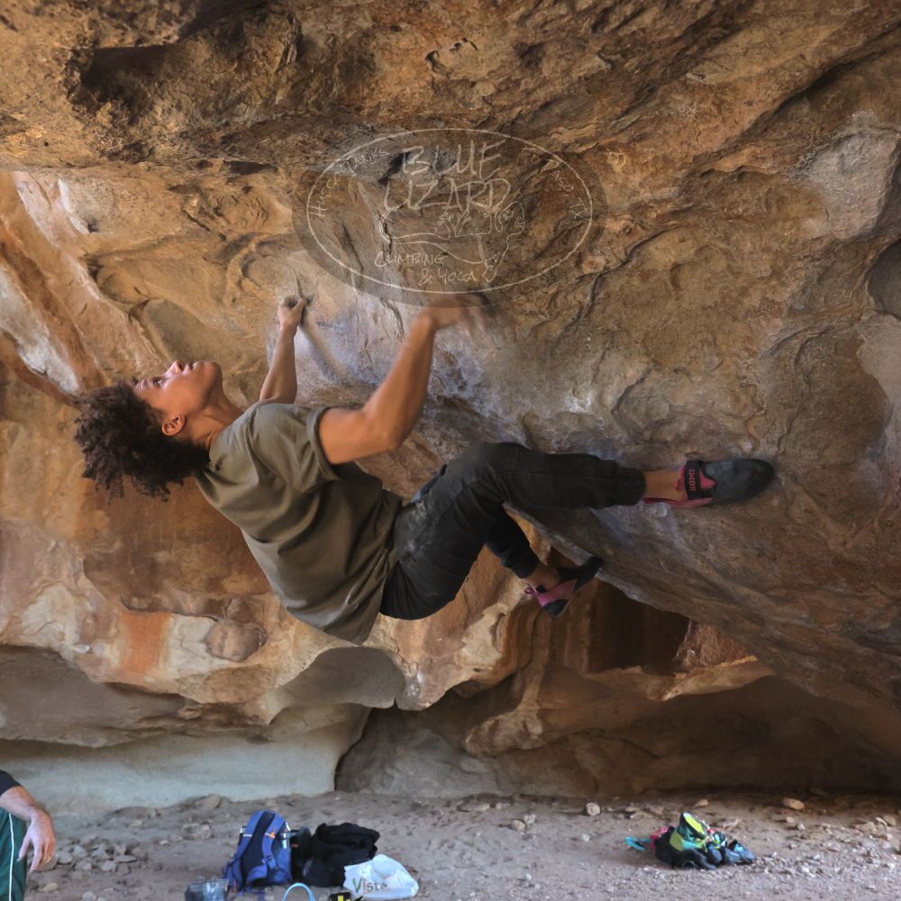 

Filename: SRM_20260307_1534140.jpg
Aperture: f/5.6
Shutter Speed: 1/400
Body: Canon EOS R6
Lens: Canon EF 16-35mm f/2.8 L