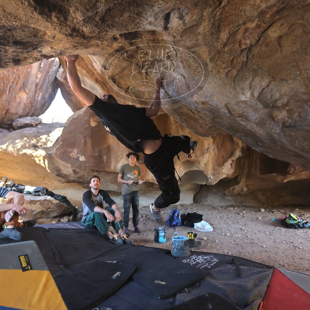 

Filename: SRM_20260307_1534383.jpg
Aperture: f/5.6
Shutter Speed: 1/400
Body: Canon EOS R6
Lens: Canon EF 16-35mm f/2.8 L