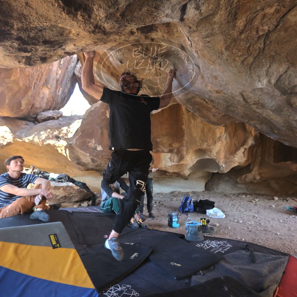 

Filename: SRM_20260307_1534391.jpg
Aperture: f/5.6
Shutter Speed: 1/400
Body: Canon EOS R6
Lens: Canon EF 16-35mm f/2.8 L