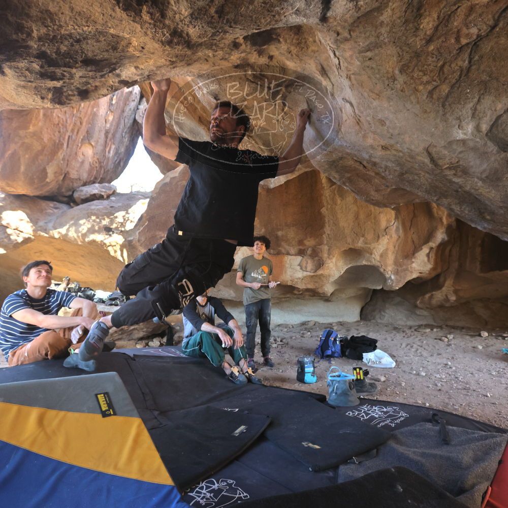 

Filename: SRM_20260307_1534393.jpg
Aperture: f/5.6
Shutter Speed: 1/400
Body: Canon EOS R6
Lens: Canon EF 16-35mm f/2.8 L