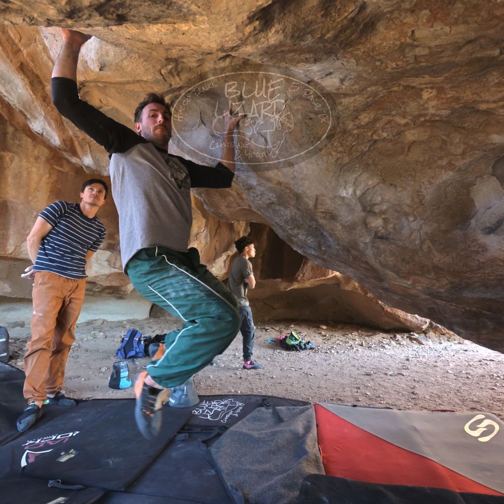 

Filename: SRM_20260307_1535340.jpg
Aperture: f/5.6
Shutter Speed: 1/400
Body: Canon EOS R6
Lens: Canon EF 16-35mm f/2.8 L