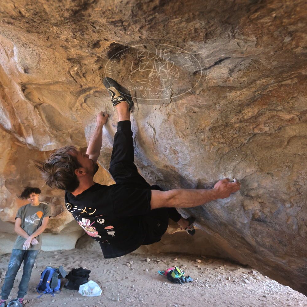 

Filename: SRM_20260307_1538530.jpg
Aperture: f/5.6
Shutter Speed: 1/400
Body: Canon EOS R6
Lens: Canon EF 16-35mm f/2.8 L