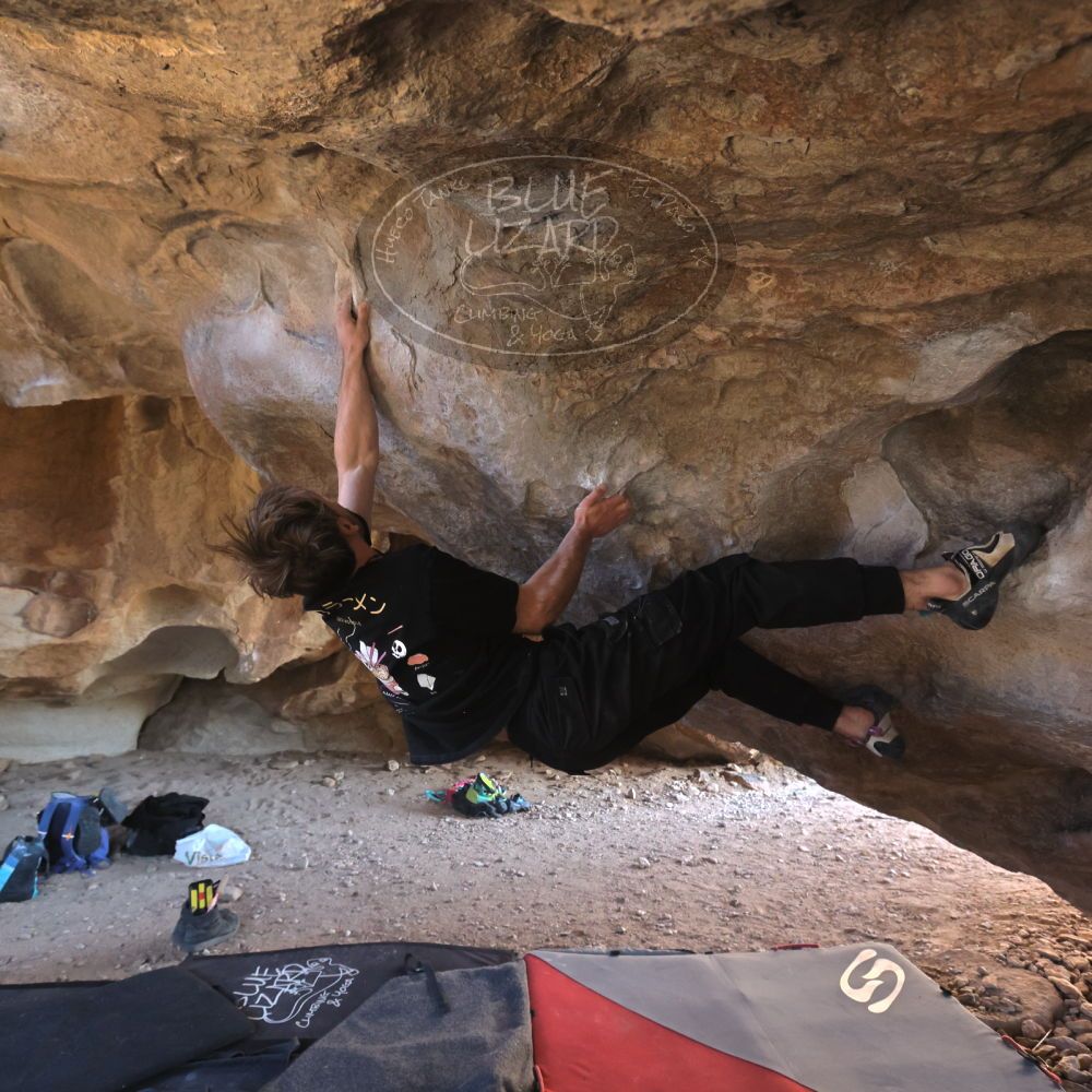 

Filename: SRM_20260307_1543130.jpg
Aperture: f/5.6
Shutter Speed: 1/400
Body: Canon EOS R6
Lens: Canon EF 16-35mm f/2.8 L