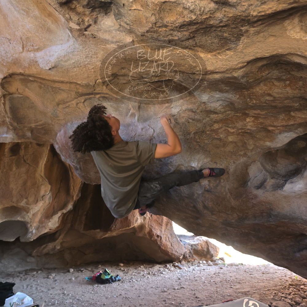 

Filename: SRM_20260307_1544170.jpg
Aperture: f/5.6
Shutter Speed: 1/400
Body: Canon EOS R6
Lens: Canon EF 16-35mm f/2.8 L