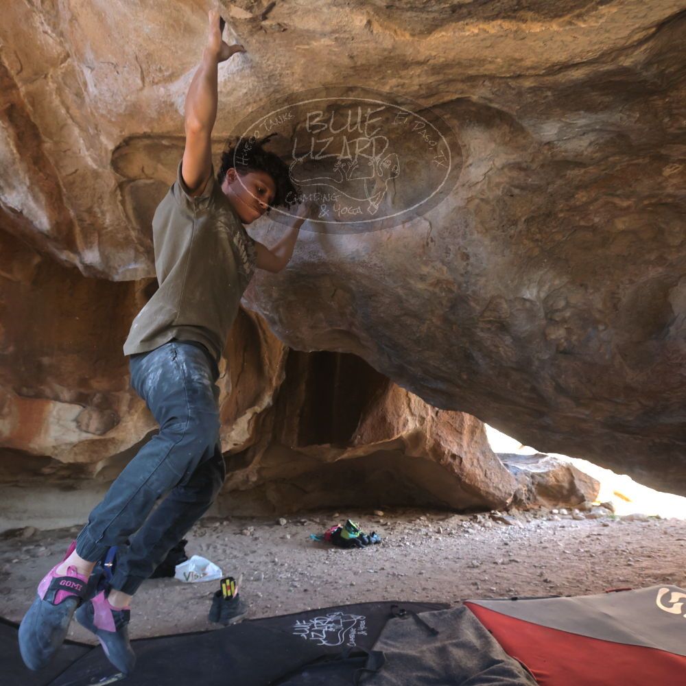 

Filename: SRM_20260307_1544201.jpg
Aperture: f/5.6
Shutter Speed: 1/400
Body: Canon EOS R6
Lens: Canon EF 16-35mm f/2.8 L