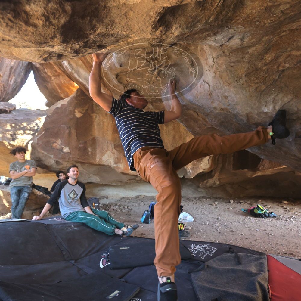 

Filename: SRM_20260307_1546060.jpg
Aperture: f/5.6
Shutter Speed: 1/400
Body: Canon EOS R6
Lens: Canon EF 16-35mm f/2.8 L