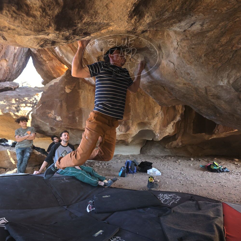 

Filename: SRM_20260307_1546071.jpg
Aperture: f/5.6
Shutter Speed: 1/400
Body: Canon EOS R6
Lens: Canon EF 16-35mm f/2.8 L