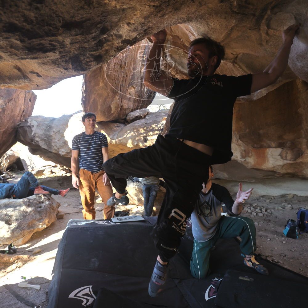 

Filename: SRM_20260307_1547302.jpg
Aperture: f/5.6
Shutter Speed: 1/400
Body: Canon EOS R6
Lens: Canon EF 16-35mm f/2.8 L