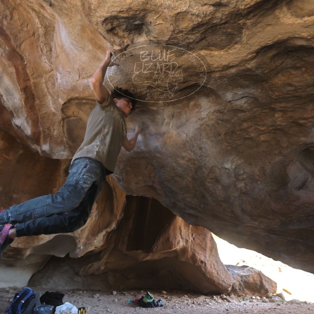 

Filename: SRM_20260307_1550340.jpg
Aperture: f/5.6
Shutter Speed: 1/400
Body: Canon EOS R6
Lens: Canon EF 16-35mm f/2.8 L