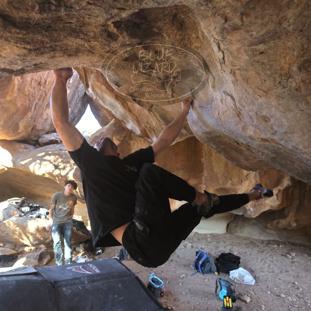 

Filename: SRM_20260307_1606441.jpg
Aperture: f/5.6
Shutter Speed: 1/400
Body: Canon EOS R6
Lens: Canon EF 16-35mm f/2.8 L