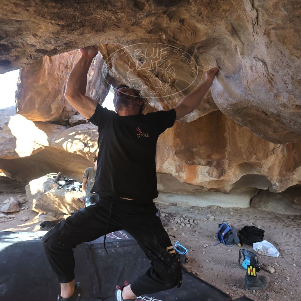 

Filename: SRM_20260307_1606450.jpg
Aperture: f/5.6
Shutter Speed: 1/400
Body: Canon EOS R6
Lens: Canon EF 16-35mm f/2.8 L