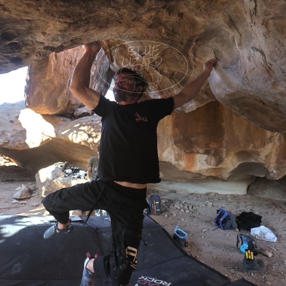 

Filename: SRM_20260307_1606451.jpg
Aperture: f/5.6
Shutter Speed: 1/400
Body: Canon EOS R6
Lens: Canon EF 16-35mm f/2.8 L