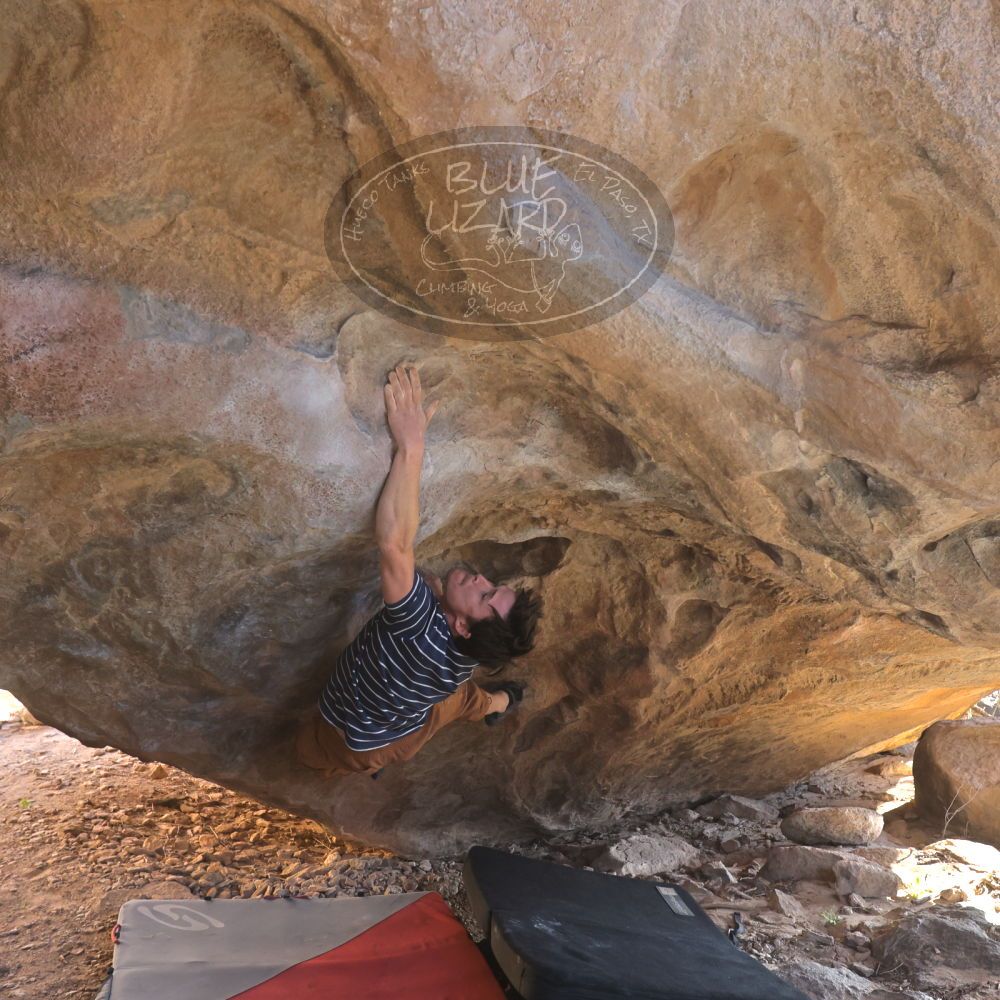 

Filename: SRM_20260307_1626240.jpg
Aperture: f/5.6
Shutter Speed: 1/400
Body: Canon EOS R6
Lens: Canon EF 16-35mm f/2.8 L