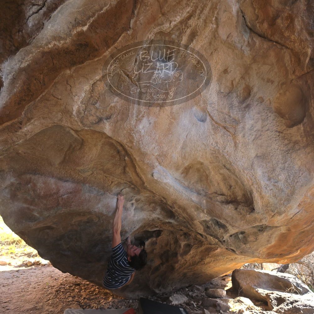 

Filename: SRM_20260307_1626320.jpg
Aperture: f/5.6
Shutter Speed: 1/400
Body: Canon EOS R6
Lens: Canon EF 16-35mm f/2.8 L