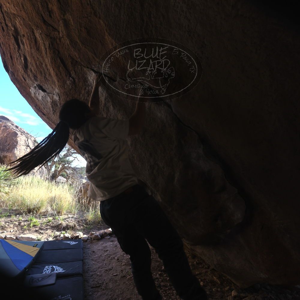 

Filename: SRM_20260307_1641240.jpg
Aperture: f/5.6
Shutter Speed: 1/400
Body: Canon EOS R6
Lens: Canon EF 16-35mm f/2.8 L