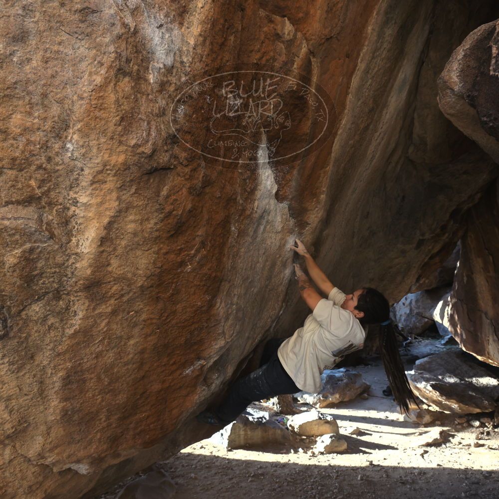 

Filename: SRM_20260307_1644520.jpg
Aperture: f/5.6
Shutter Speed: 1/400
Body: Canon EOS R6
Lens: Canon EF 16-35mm f/2.8 L