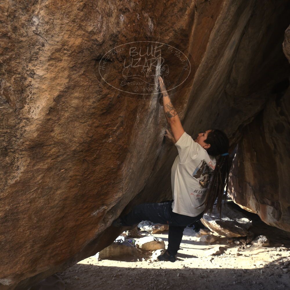 

Filename: SRM_20260307_1646070.jpg
Aperture: f/5.6
Shutter Speed: 1/400
Body: Canon EOS R6
Lens: Canon EF 16-35mm f/2.8 L