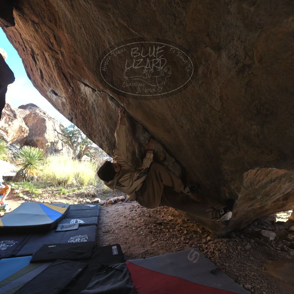 

Filename: SRM_20260307_1649060.jpg
Aperture: f/5.6
Shutter Speed: 1/400
Body: Canon EOS R6
Lens: Canon EF 16-35mm f/2.8 L