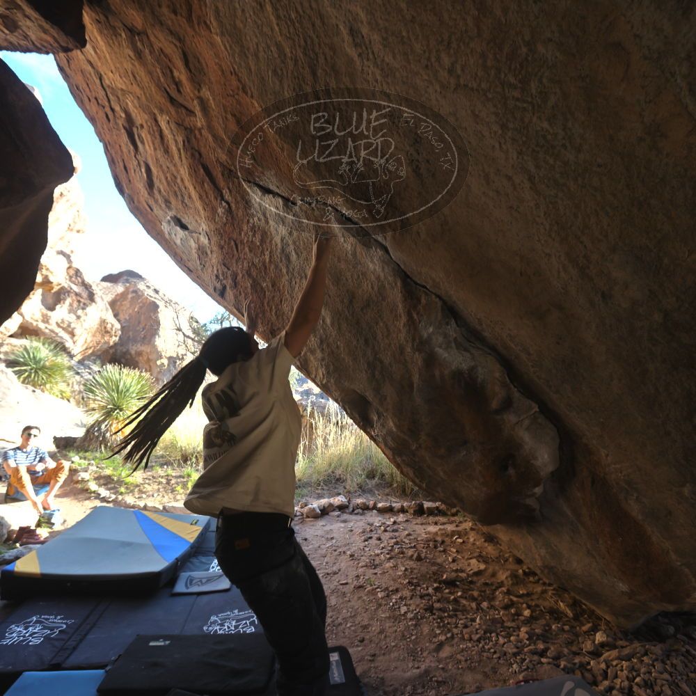 

Filename: SRM_20260307_1649560.jpg
Aperture: f/5.6
Shutter Speed: 1/400
Body: Canon EOS R6
Lens: Canon EF 16-35mm f/2.8 L