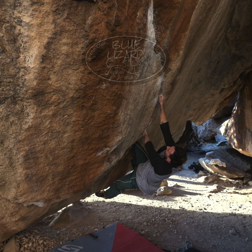 

Filename: SRM_20260307_1701580.jpg
Aperture: f/5.6
Shutter Speed: 1/400
Body: Canon EOS R6
Lens: Canon EF 16-35mm f/2.8 L