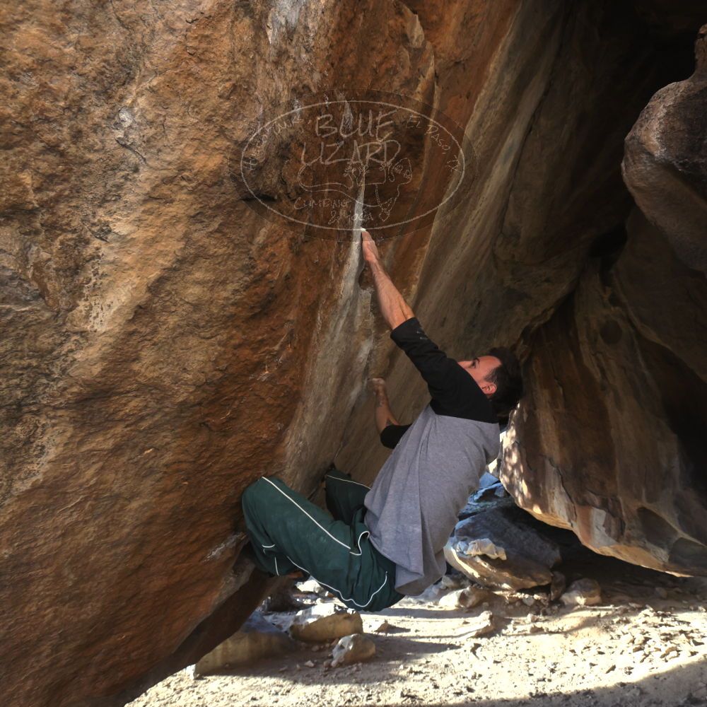 

Filename: SRM_20260307_1703500.jpg
Aperture: f/5.6
Shutter Speed: 1/400
Body: Canon EOS R6
Lens: Canon EF 16-35mm f/2.8 L