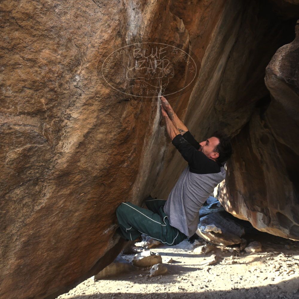 

Filename: SRM_20260307_1703510.jpg
Aperture: f/5.6
Shutter Speed: 1/400
Body: Canon EOS R6
Lens: Canon EF 16-35mm f/2.8 L