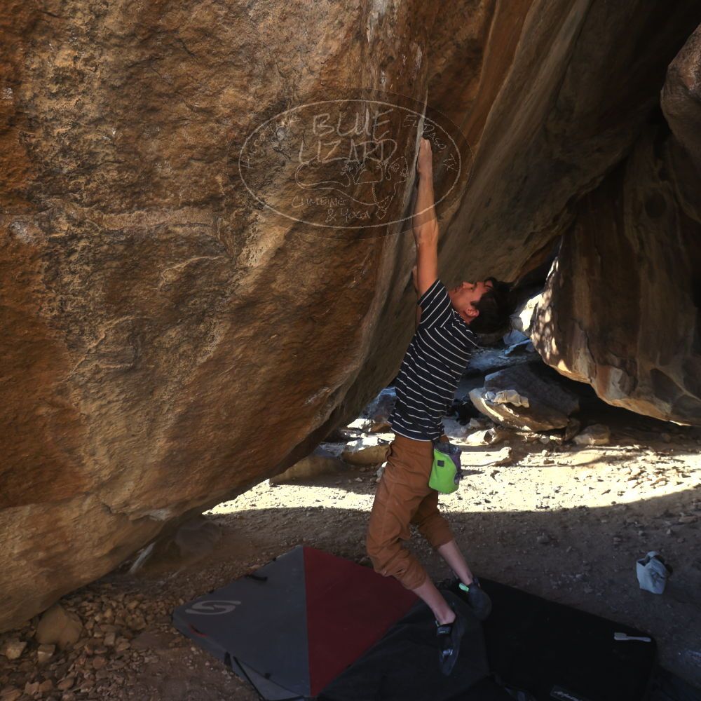 

Filename: SRM_20260307_1705280.jpg
Aperture: f/5.6
Shutter Speed: 1/400
Body: Canon EOS R6
Lens: Canon EF 16-35mm f/2.8 L