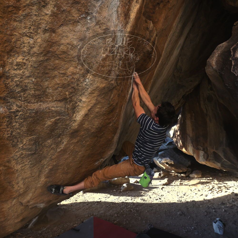 

Filename: SRM_20260307_1705400.jpg
Aperture: f/5.6
Shutter Speed: 1/400
Body: Canon EOS R6
Lens: Canon EF 16-35mm f/2.8 L