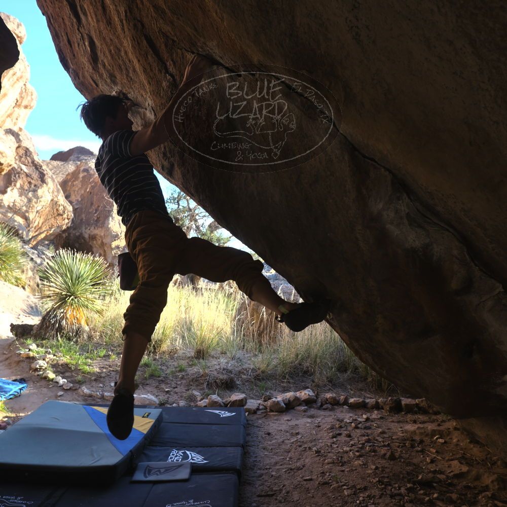 

Filename: SRM_20260307_1710100.jpg
Aperture: f/5.6
Shutter Speed: 1/400
Body: Canon EOS R6
Lens: Canon EF 16-35mm f/2.8 L