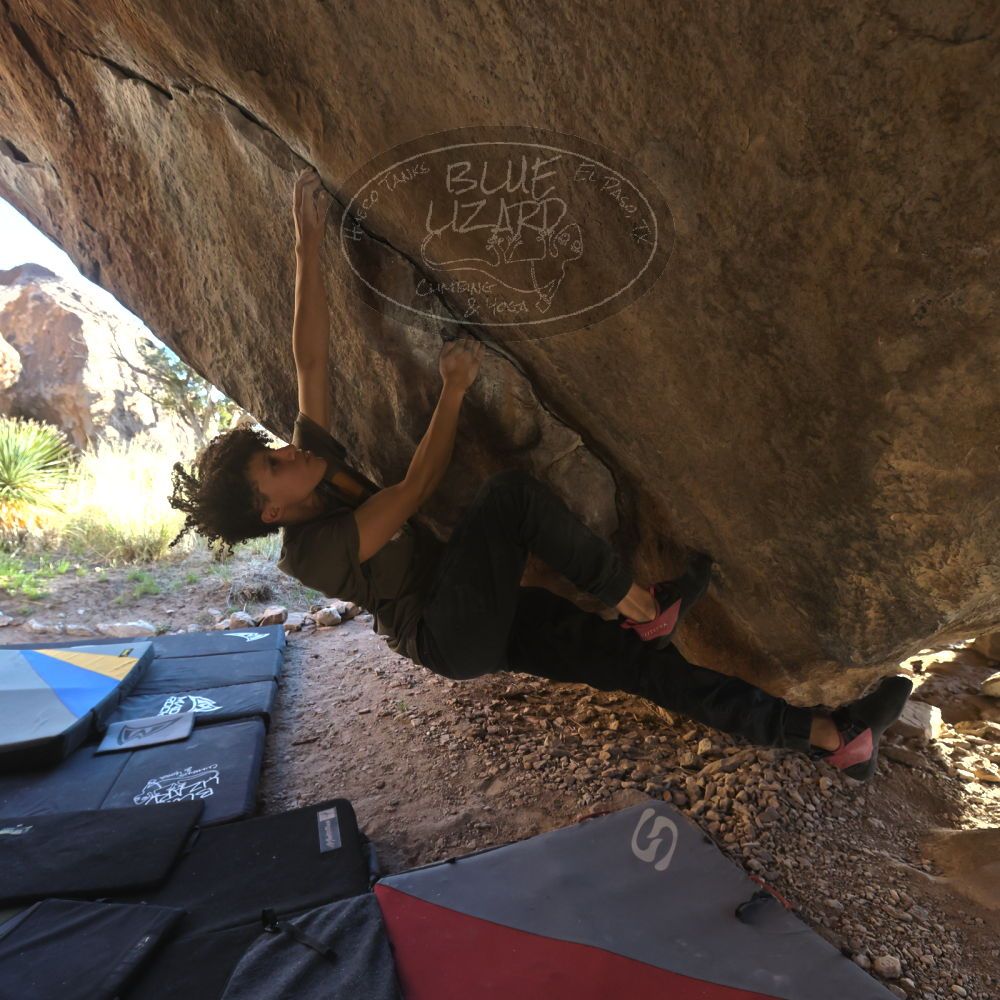 

Filename: SRM_20260307_1712500.jpg
Aperture: f/5.6
Shutter Speed: 1/400
Body: Canon EOS R6
Lens: Canon EF 16-35mm f/2.8 L