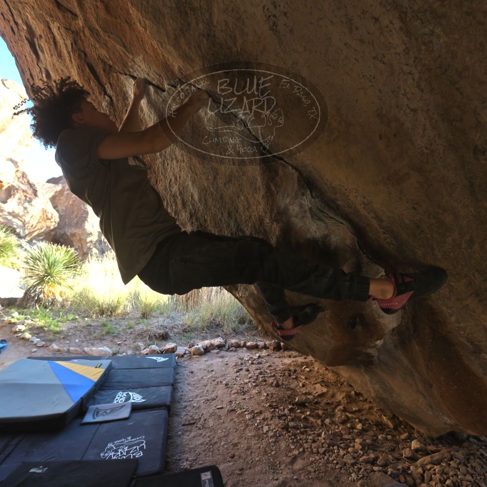 

Filename: SRM_20260307_1712570.jpg
Aperture: f/5.6
Shutter Speed: 1/400
Body: Canon EOS R6
Lens: Canon EF 16-35mm f/2.8 L