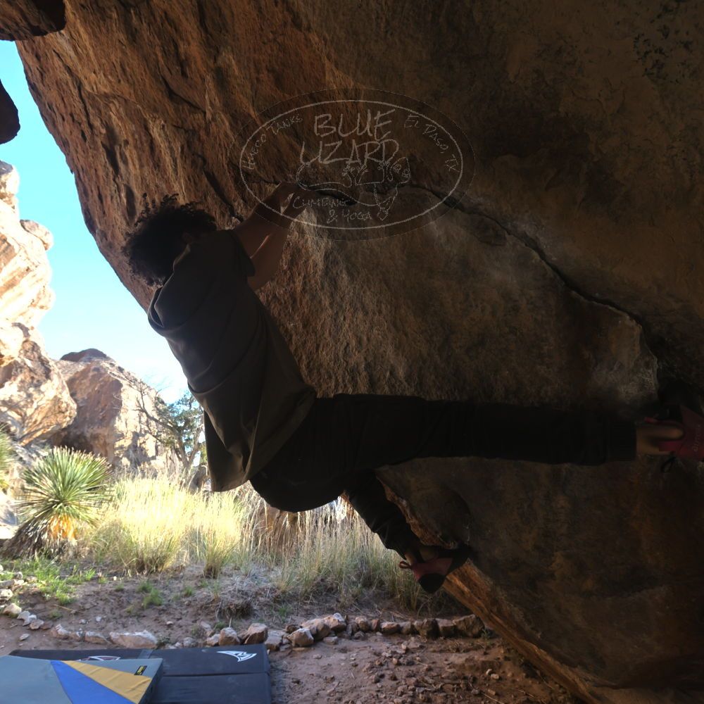 

Filename: SRM_20260307_1713040.jpg
Aperture: f/5.6
Shutter Speed: 1/400
Body: Canon EOS R6
Lens: Canon EF 16-35mm f/2.8 L