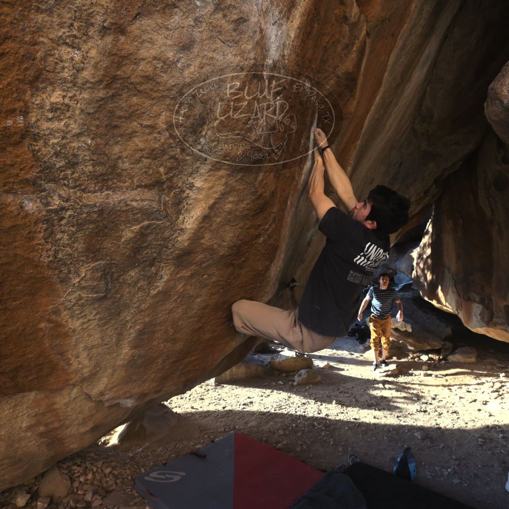 

Filename: SRM_20260307_1715040.jpg
Aperture: f/5.6
Shutter Speed: 1/400
Body: Canon EOS R6
Lens: Canon EF 16-35mm f/2.8 L