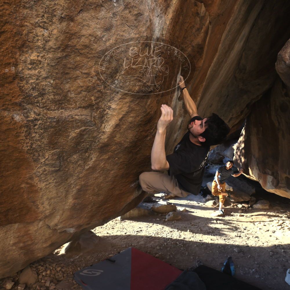 

Filename: SRM_20260307_1715060.jpg
Aperture: f/5.6
Shutter Speed: 1/400
Body: Canon EOS R6
Lens: Canon EF 16-35mm f/2.8 L