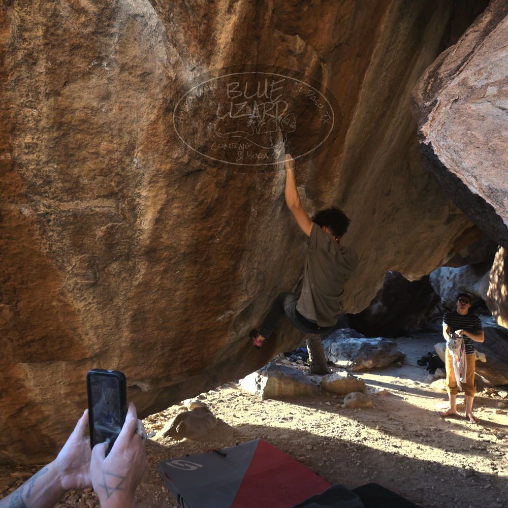 

Filename: SRM_20260307_1719210.jpg
Aperture: f/5.6
Shutter Speed: 1/400
Body: Canon EOS R6
Lens: Canon EF 16-35mm f/2.8 L