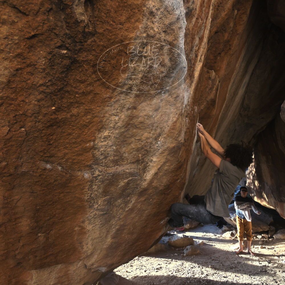 

Filename: SRM_20260307_1719260.jpg
Aperture: f/5.6
Shutter Speed: 1/400
Body: Canon EOS R6
Lens: Canon EF 16-35mm f/2.8 L