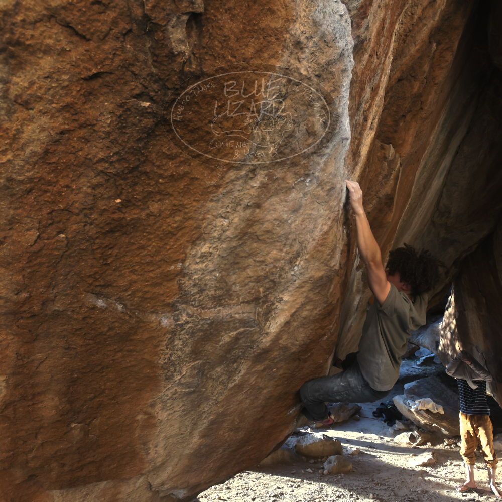 

Filename: SRM_20260307_1719280.jpg
Aperture: f/5.6
Shutter Speed: 1/400
Body: Canon EOS R6
Lens: Canon EF 16-35mm f/2.8 L