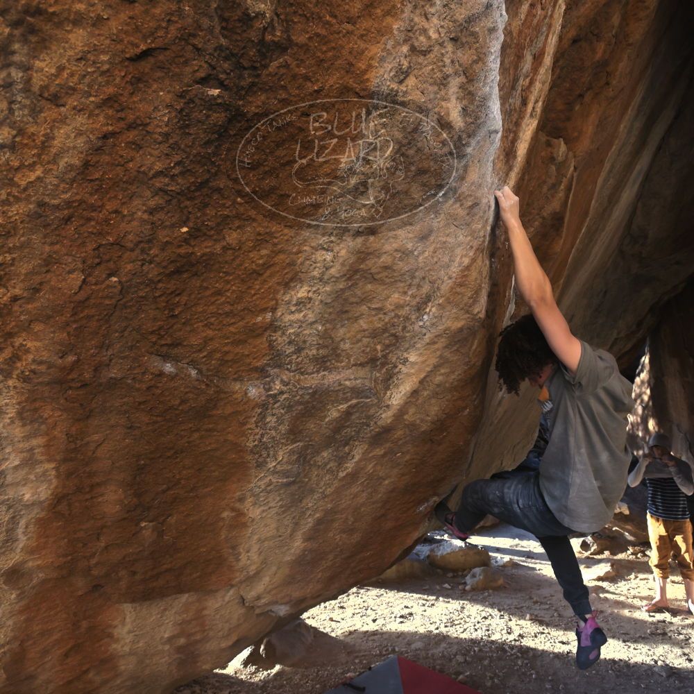 

Filename: SRM_20260307_1719320.jpg
Aperture: f/5.6
Shutter Speed: 1/400
Body: Canon EOS R6
Lens: Canon EF 16-35mm f/2.8 L