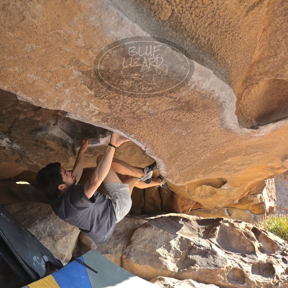 

Filename: SRM_20260308_0846490.jpg
Aperture: f/5.6
Shutter Speed: 1/500
Body: Canon EOS R6
Lens: Canon EF 16-35mm f/2.8 L