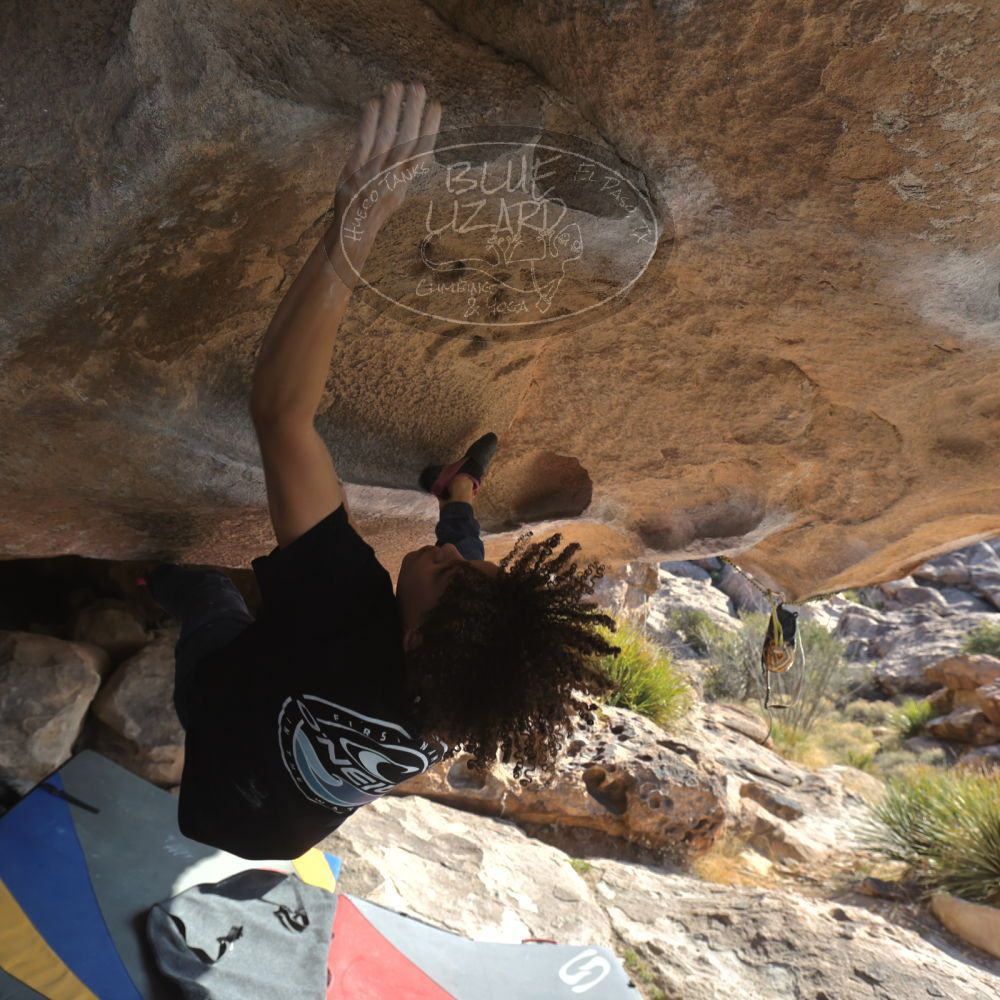 

Filename: SRM_20260308_0853020.jpg
Aperture: f/5.6
Shutter Speed: 1/500
Body: Canon EOS R6
Lens: Canon EF 16-35mm f/2.8 L