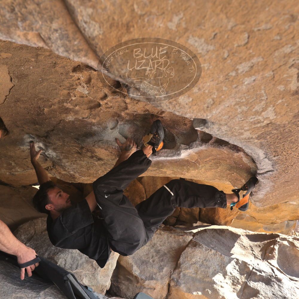 

Filename: SRM_20260308_0856200.jpg
Aperture: f/5.6
Shutter Speed: 1/500
Body: Canon EOS R6
Lens: Canon EF 16-35mm f/2.8 L