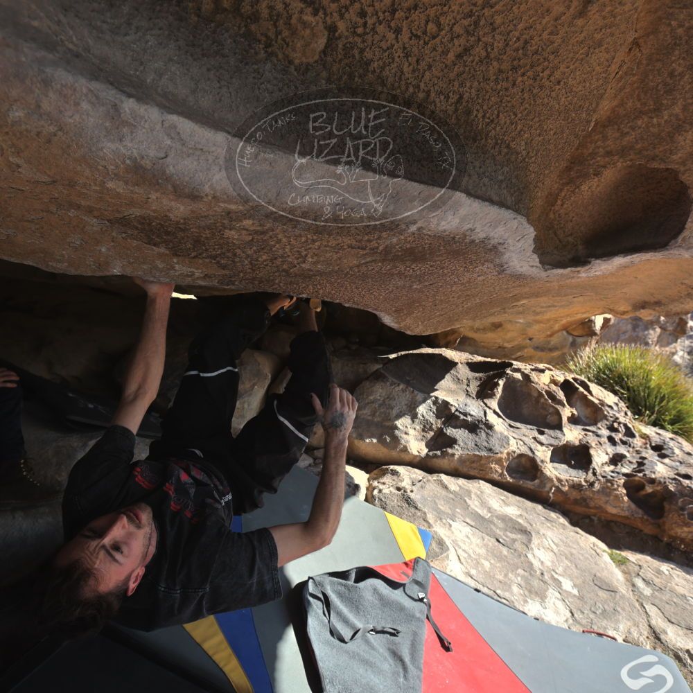 

Filename: SRM_20260308_0856310.jpg
Aperture: f/5.6
Shutter Speed: 1/500
Body: Canon EOS R6
Lens: Canon EF 16-35mm f/2.8 L