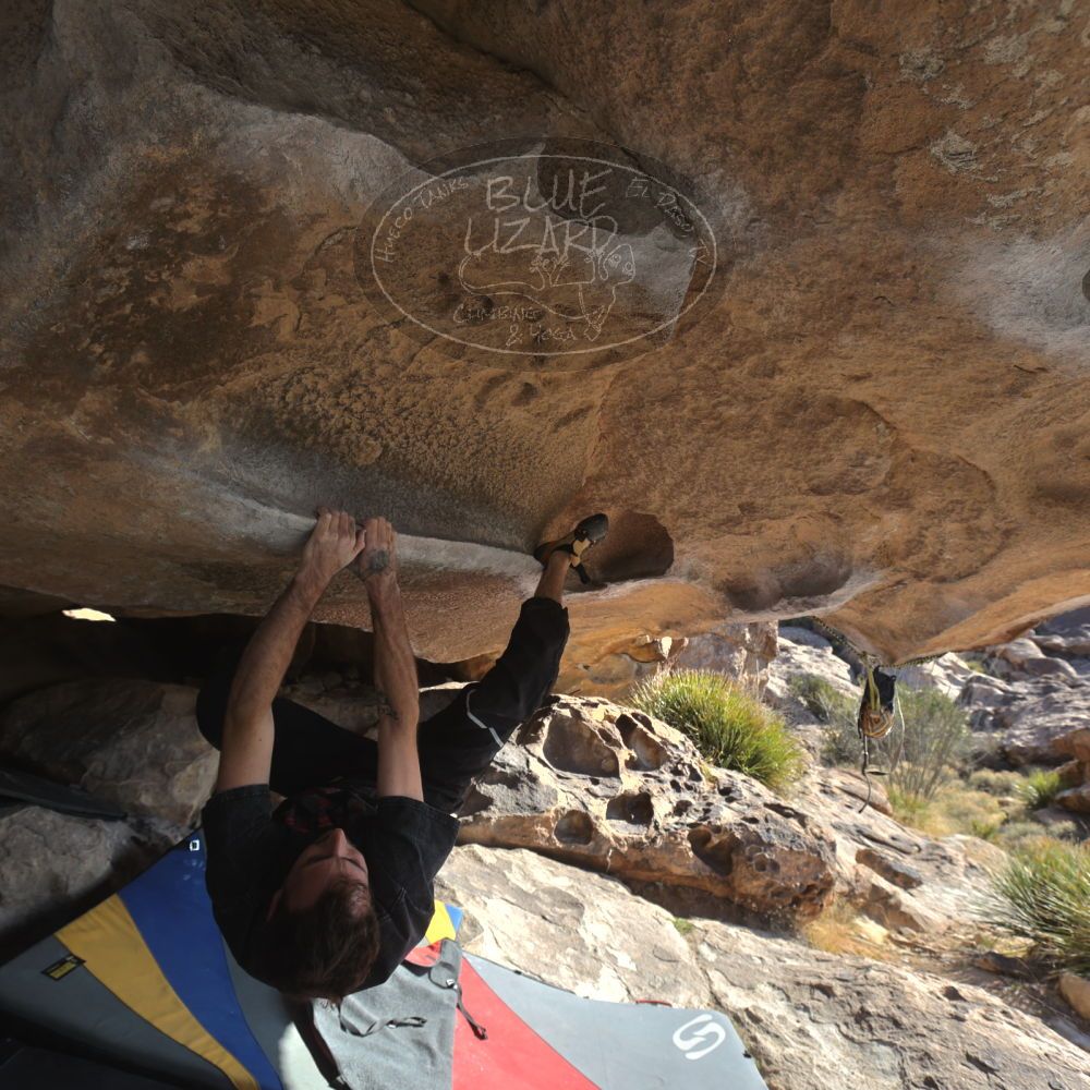 

Filename: SRM_20260308_0856370.jpg
Aperture: f/5.6
Shutter Speed: 1/500
Body: Canon EOS R6
Lens: Canon EF 16-35mm f/2.8 L