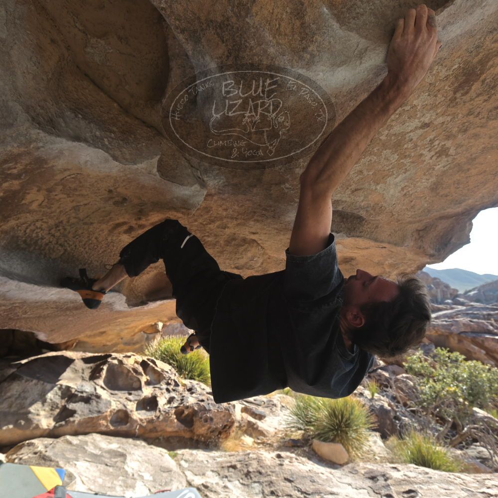 

Filename: SRM_20260308_0856450.jpg
Aperture: f/5.6
Shutter Speed: 1/500
Body: Canon EOS R6
Lens: Canon EF 16-35mm f/2.8 L