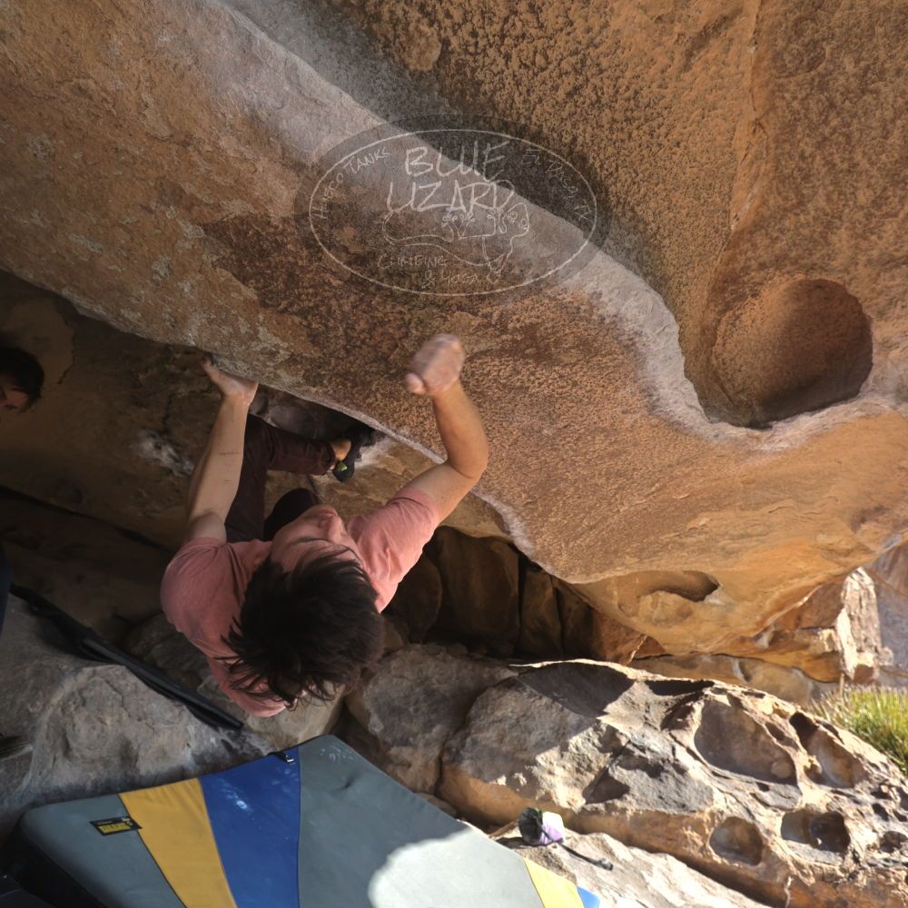 

Filename: SRM_20260308_0901570.jpg
Aperture: f/5.6
Shutter Speed: 1/500
Body: Canon EOS R6
Lens: Canon EF 16-35mm f/2.8 L