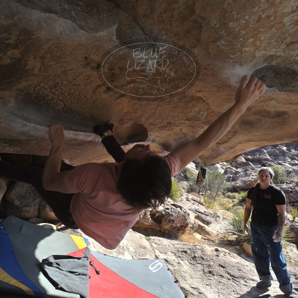 

Filename: SRM_20260308_0902090.jpg
Aperture: f/5.6
Shutter Speed: 1/500
Body: Canon EOS R6
Lens: Canon EF 16-35mm f/2.8 L