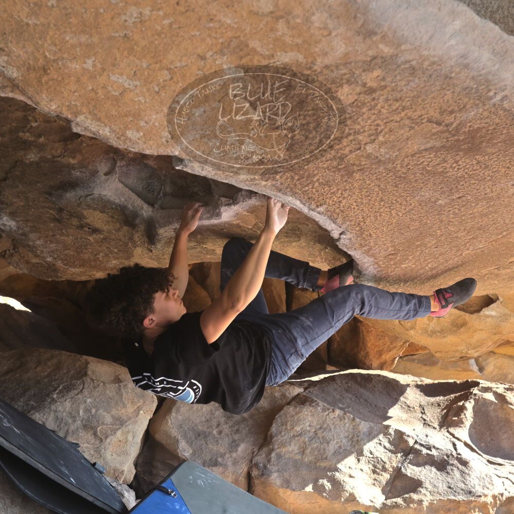 

Filename: SRM_20260308_0904370.jpg
Aperture: f/5.6
Shutter Speed: 1/500
Body: Canon EOS R6
Lens: Canon EF 16-35mm f/2.8 L