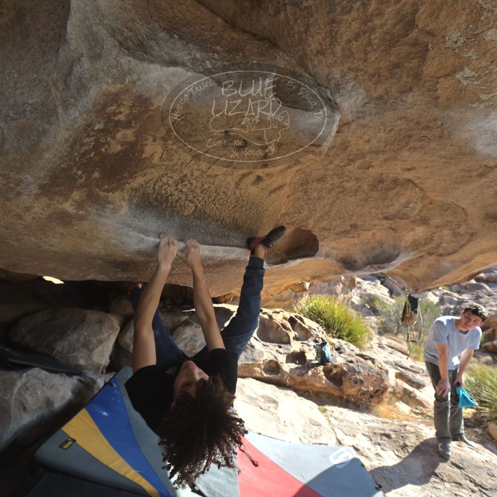 

Filename: SRM_20260308_0904540.jpg
Aperture: f/5.6
Shutter Speed: 1/500
Body: Canon EOS R6
Lens: Canon EF 16-35mm f/2.8 L