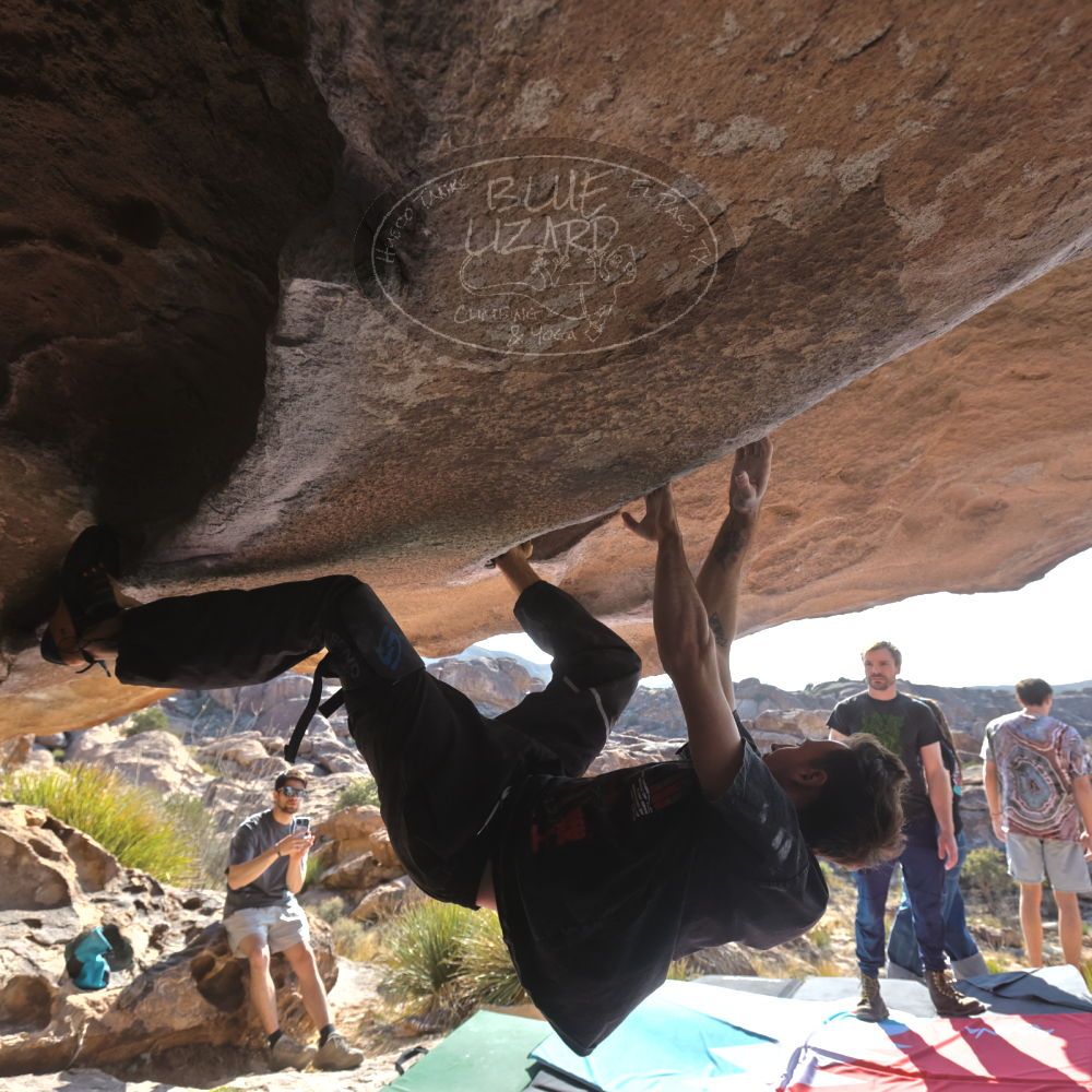 

Filename: SRM_20260308_0927120.jpg
Aperture: f/5.6
Shutter Speed: 1/500
Body: Canon EOS R6
Lens: Canon EF 16-35mm f/2.8 L